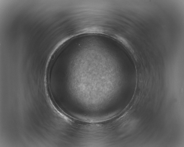 X0000062611331200601040929