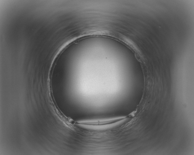 X0000062611332200601040929