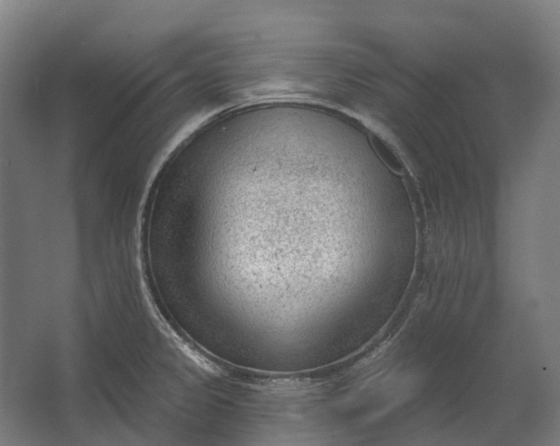 X0000062611333200601040929