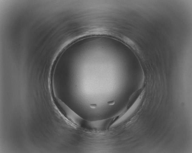 X0000062611334200601040929