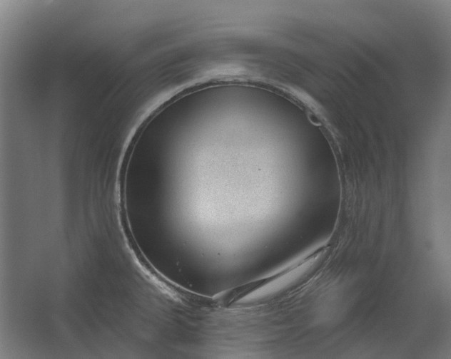 X0000062611335200601040929