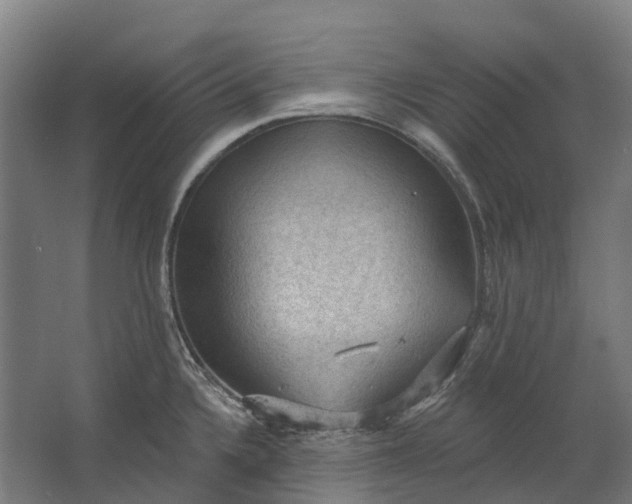 X0000062611336200601040929