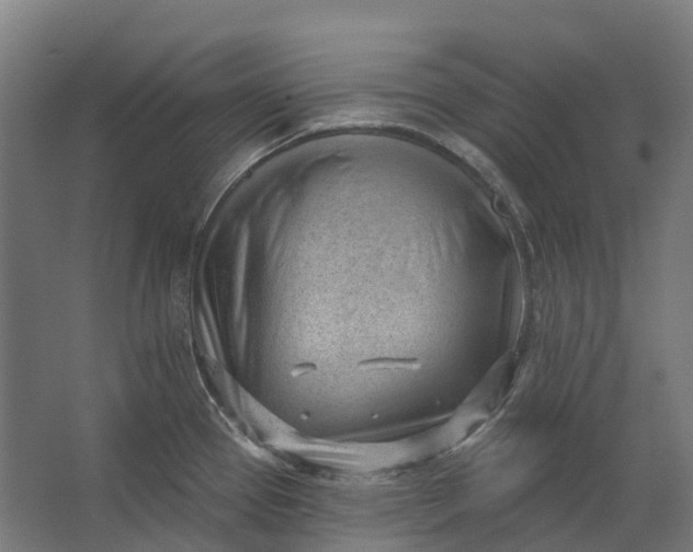 X0000062611337200601040929