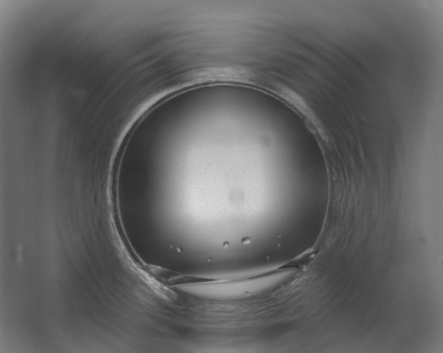 X0000062611339200601040929