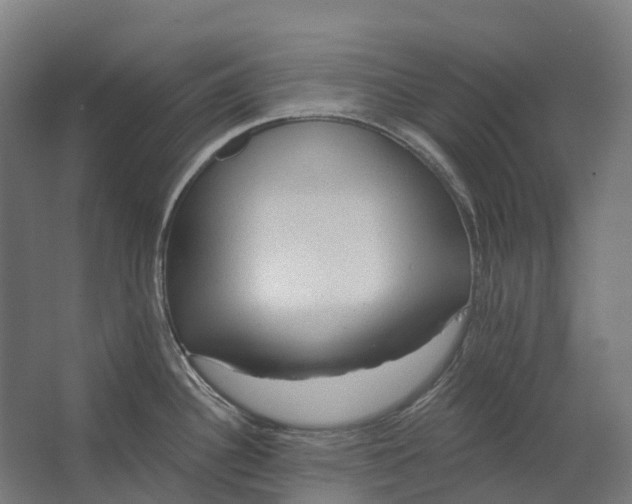 X0000062611340200601040929