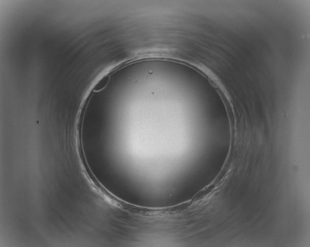 X0000062611341200601040929