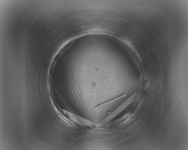 X0000062611342200601040929