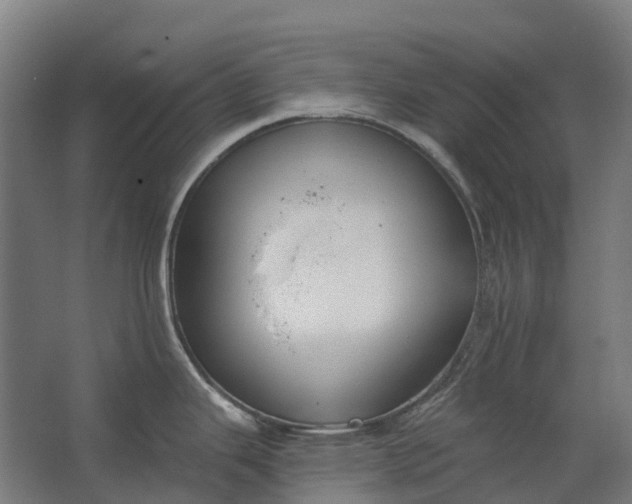 X0000062611343200601040929