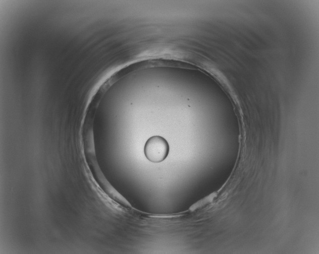 X0000062611344200601040929