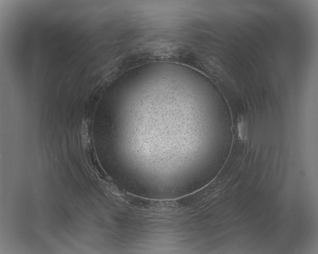 X0000062611347200601040928