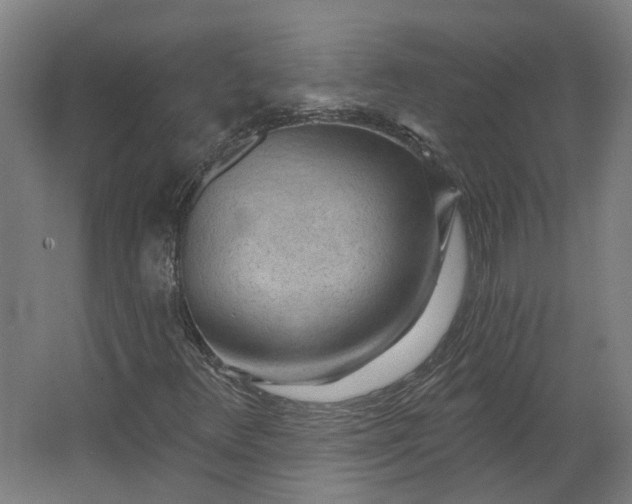 X0000062611348200601040928