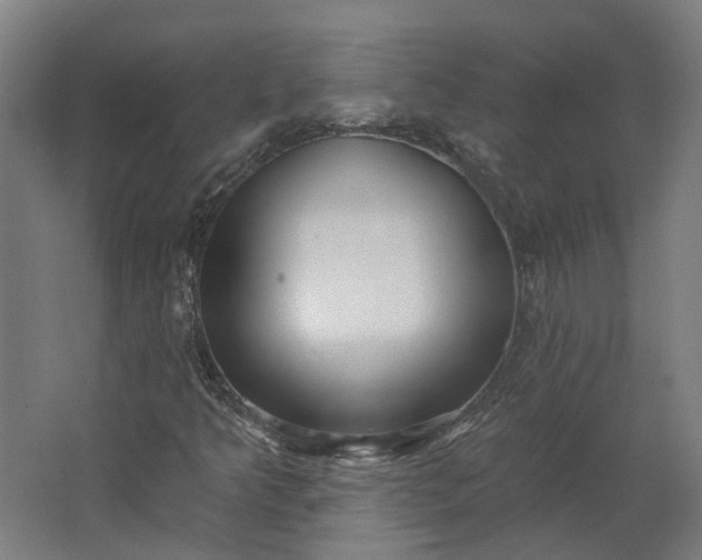 X0000062611349200601040928