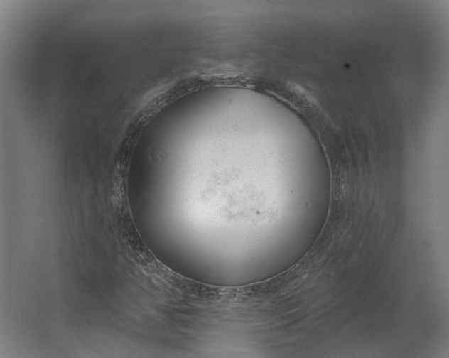 X0000062611350200601040928