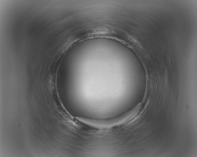 X0000062611353200601040928