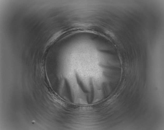 X0000062611354200601040928