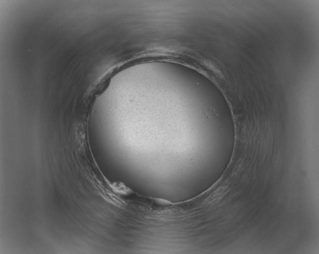 X0000062611355200601040928