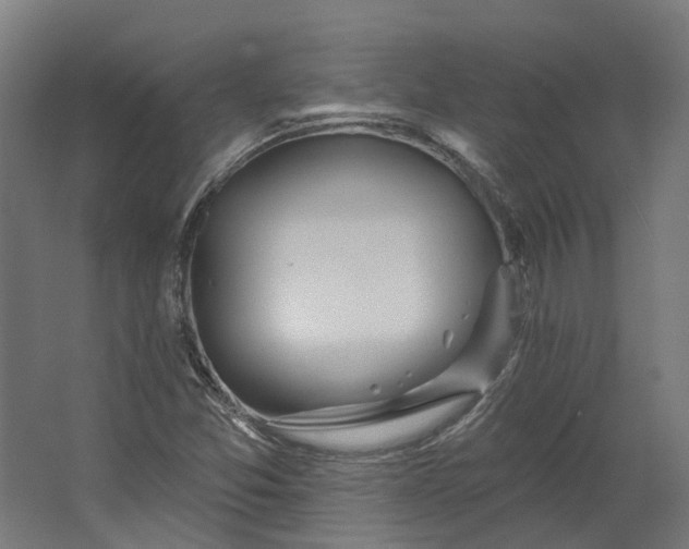 X0000062611357200601040928