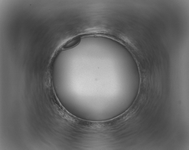 X0000062611358200601040928