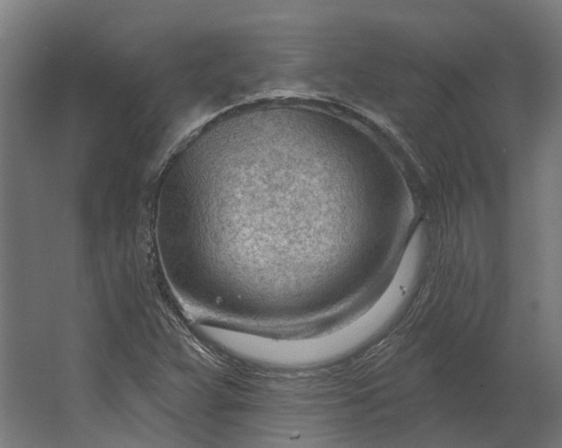 X0000062611359200601040928