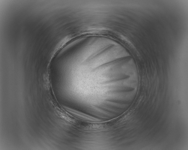 X0000062611362200601040928