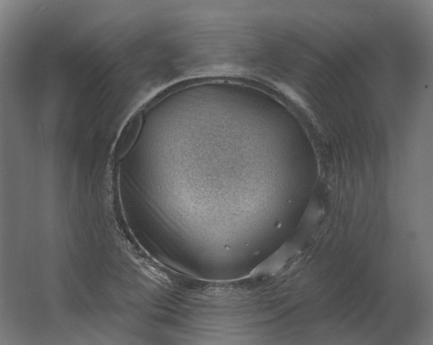 X0000062611364200601040928