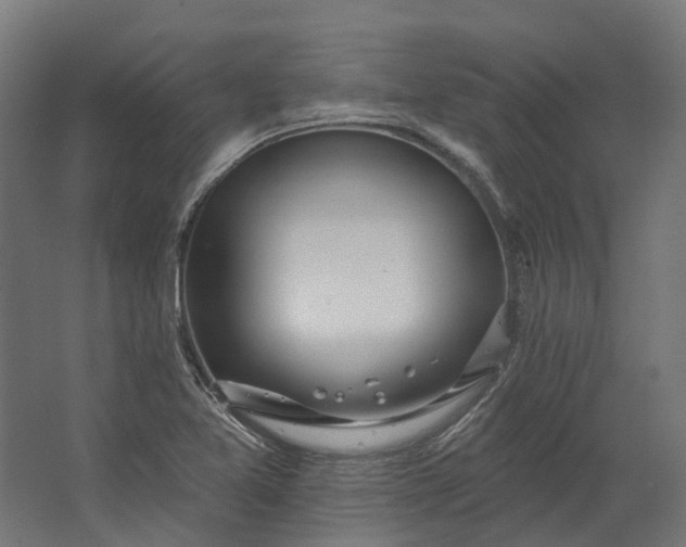 X0000062611365200601040928