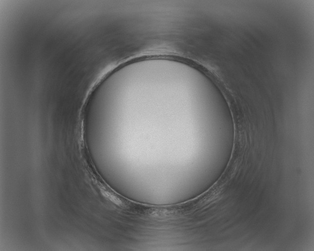 X0000062611366200601040928