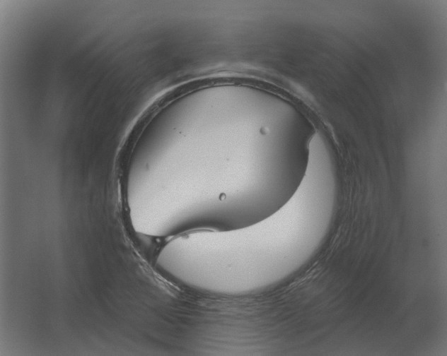 X0000062611368200601040928