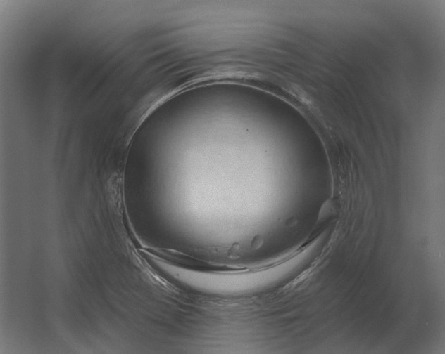 X0000062611369200601040928