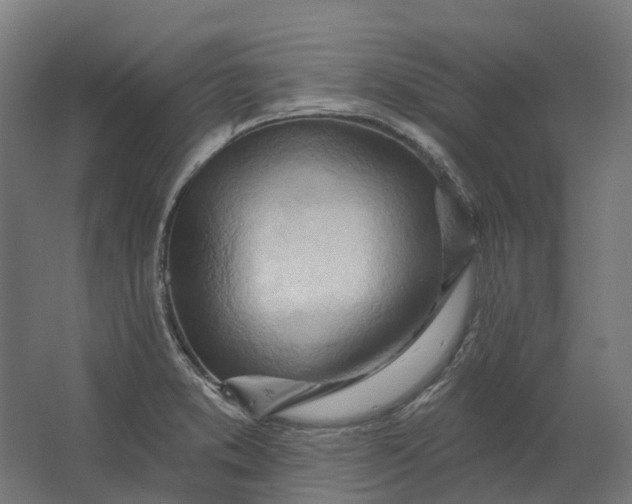 X0000062611373200601040928