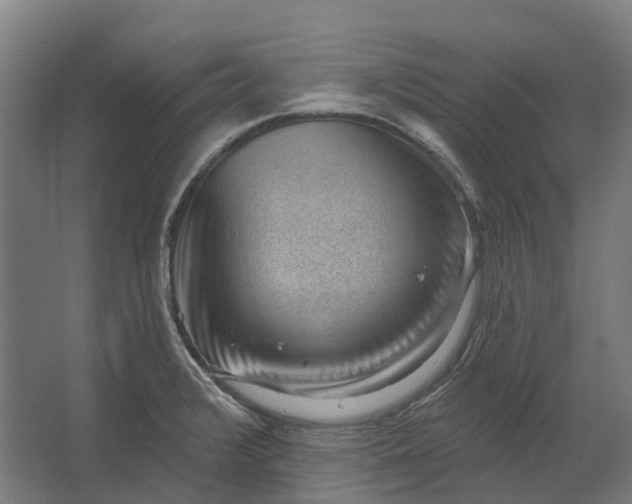 X0000062611376200601040928