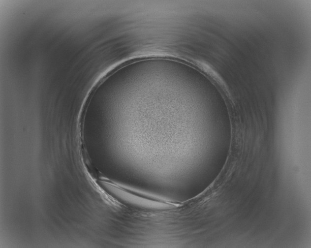 X0000062611380200601040928