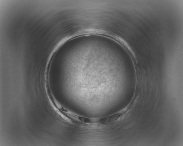 X0000062611381200601040928