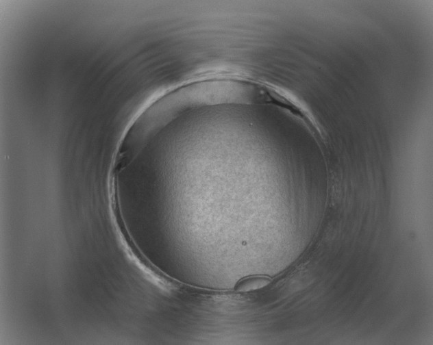 X0000062611383200601040928