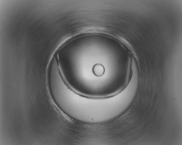 X0000062611384200601040928