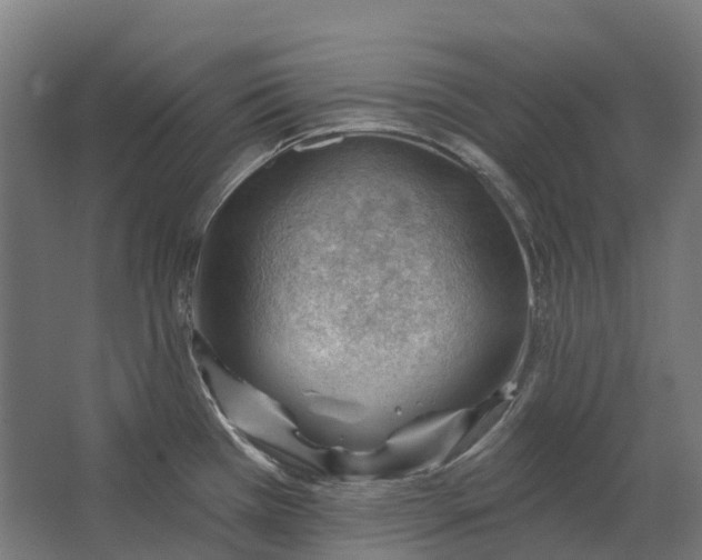 X0000062611385200601040928