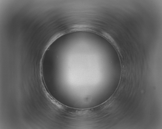 X0000062611386200601040928