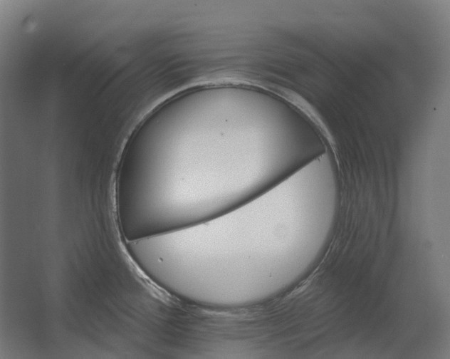 X0000062611388200601040928