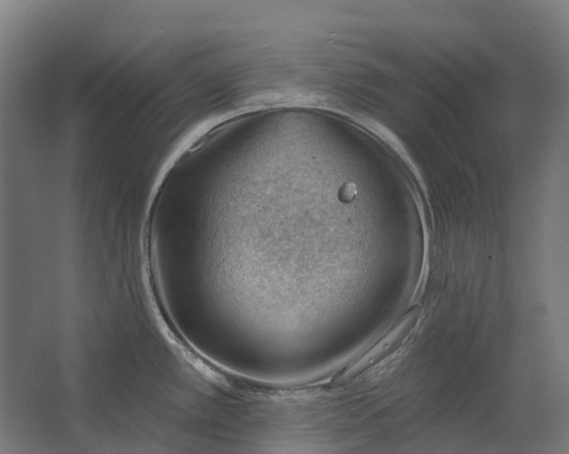 X0000062611389200601040928