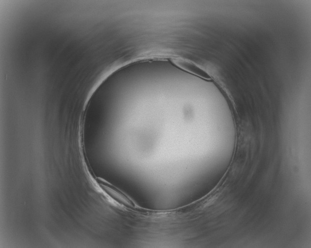 X0000062611390200601040928