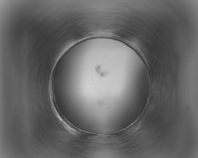 X0000062611391200601040928