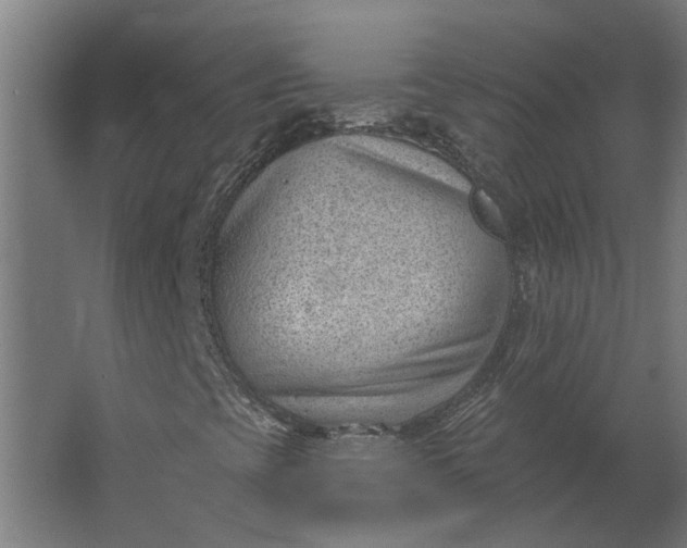 X0000062611393200601040927