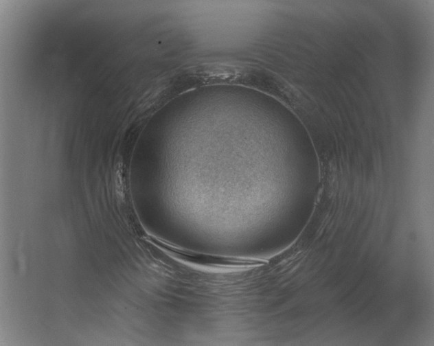 X0000062611394200601040927