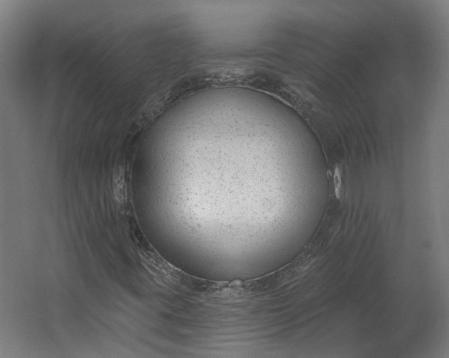 X0000062611395200601040927