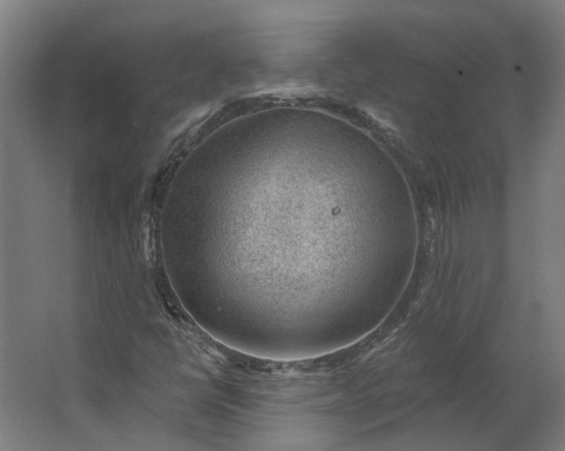 X0000062611398200601040927