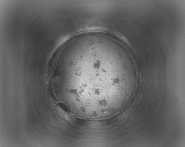 X0000062611405200601040927