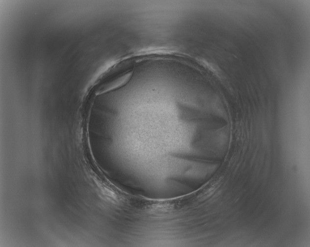 X0000062611406200601040927