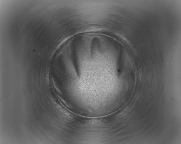 X0000062611409200601040927