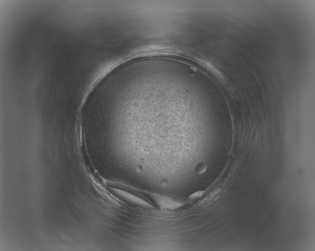 X0000062611413200601040927