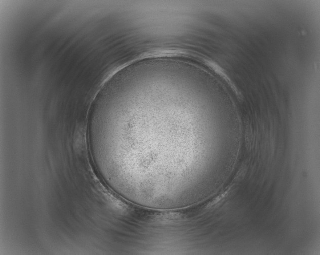 X0000062611417200601040927